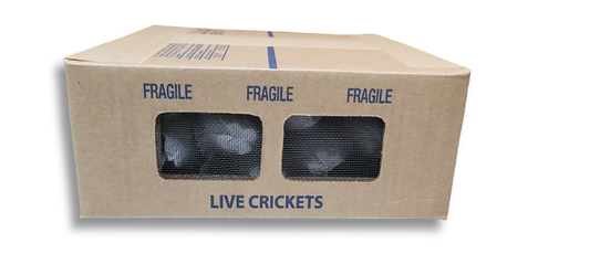 Cricket Shipping Boxes