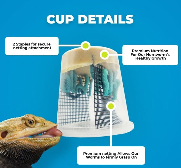 Hornworm Sample (4 Pack)