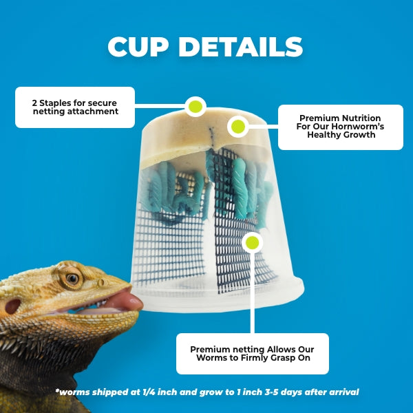 Hornworms — image 5