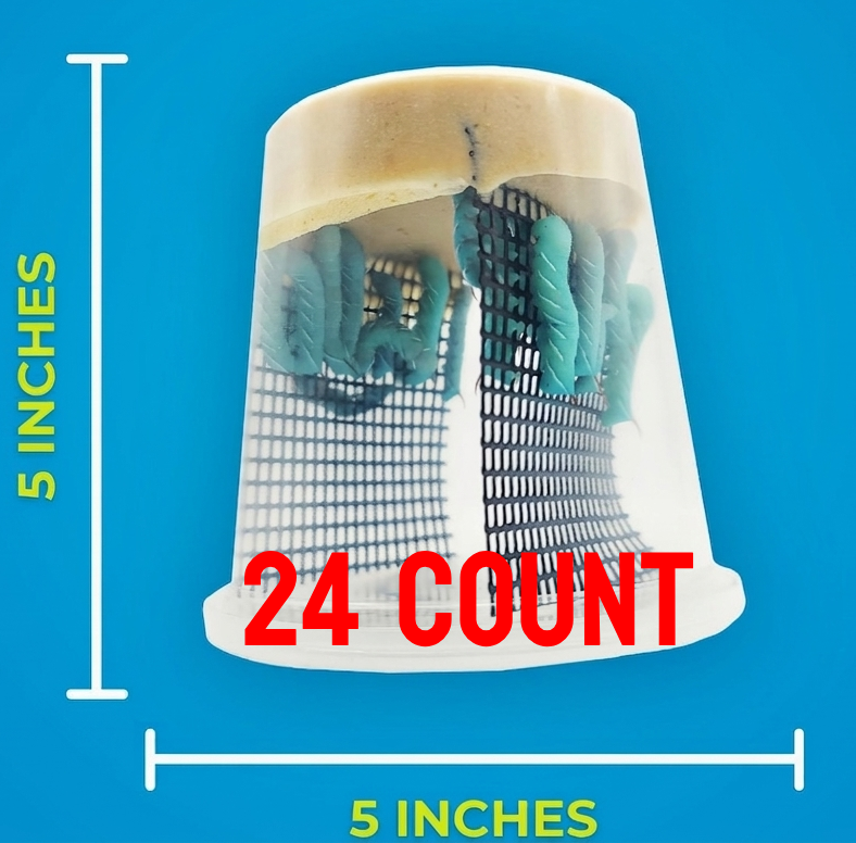 Hornworms 24+ ct (Wholesale)