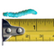 Hornworms  (Free Shipping)