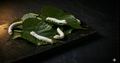 Silkworms
