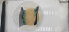 Hornworms — image 10