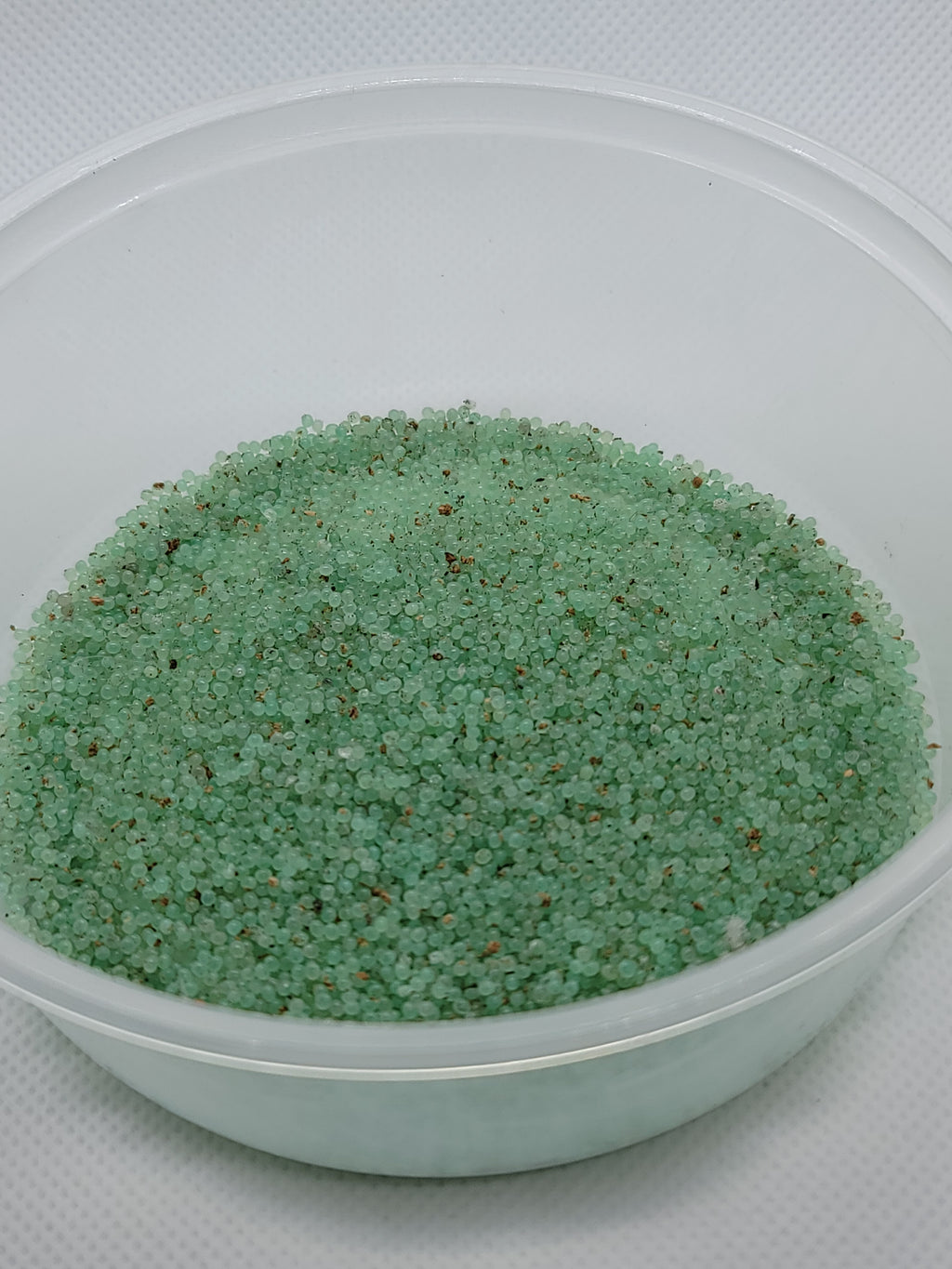 Hornworm Eggs