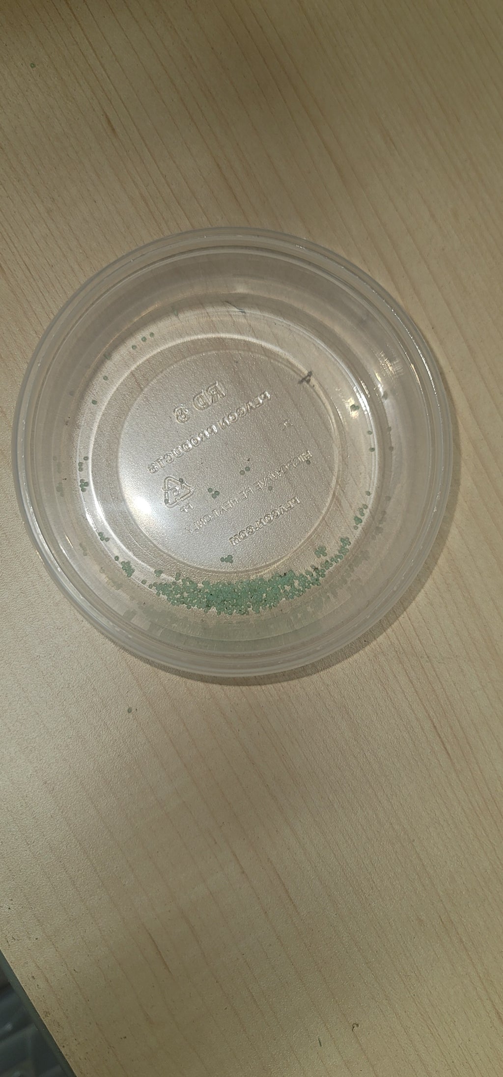 Hornworm Eggs