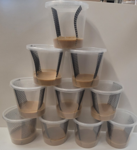 Hornworm Food Cups (No Worms)