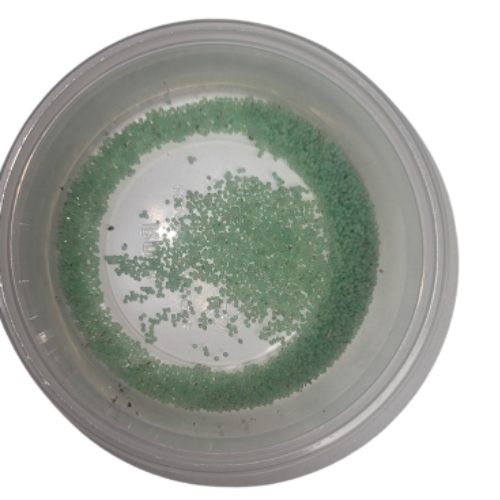 Hornworm Eggs