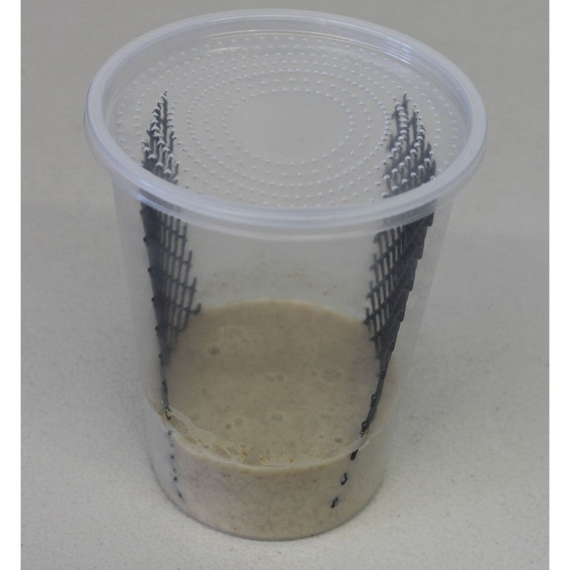 Hornworm Cup With Diet NO WORMS (Wholesale)