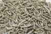 Silkworms — image 2